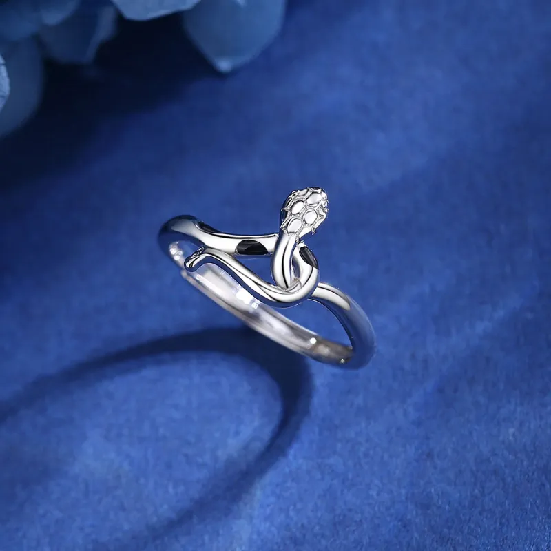 TEEX 925 Sterling Silver Rings Unisex-1