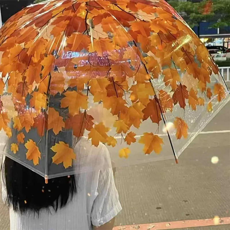 Pleasant language Umbrellas-2