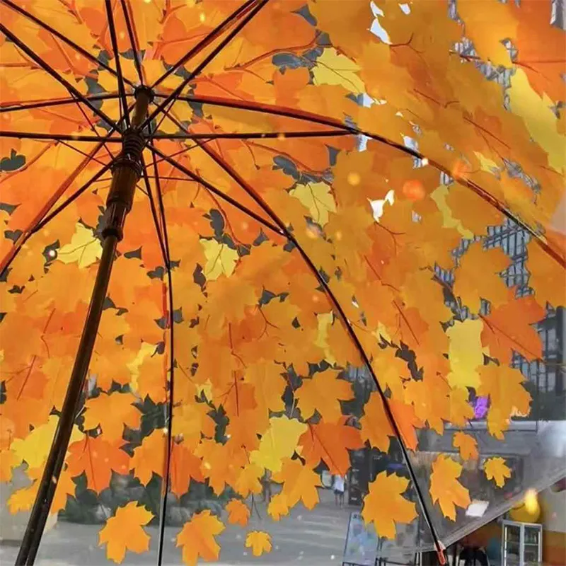 Pleasant language Umbrellas-4