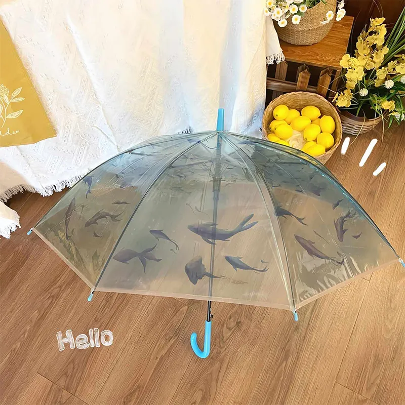 Pleasant language Umbrellas-11