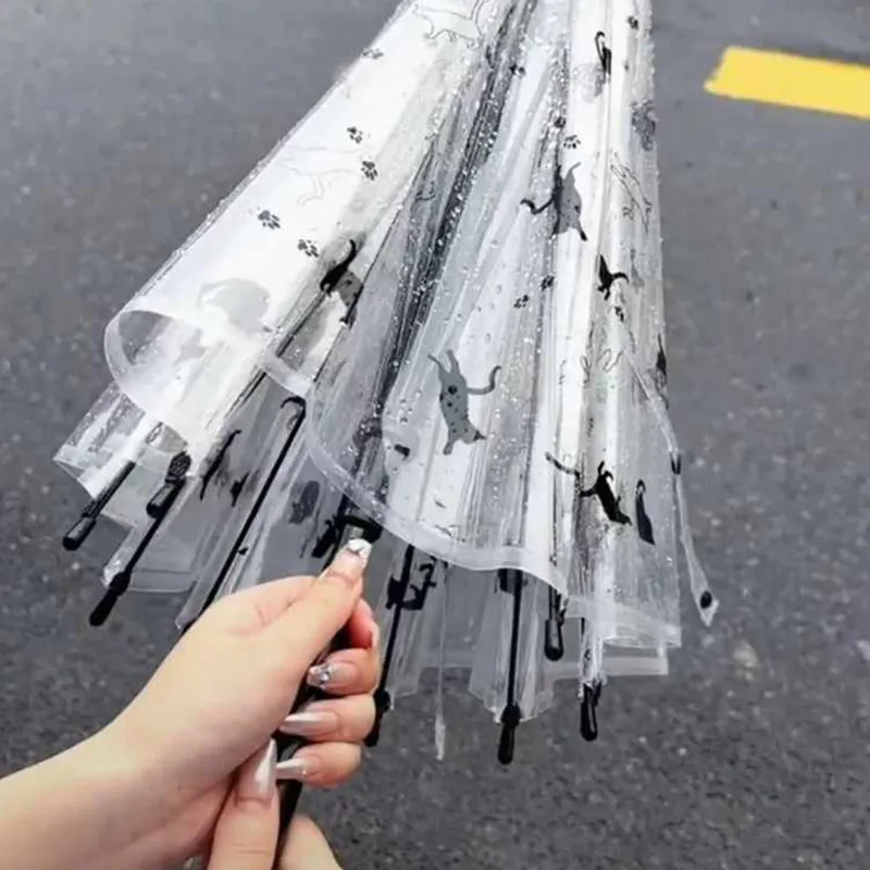 Pleasant language Umbrellas-13
