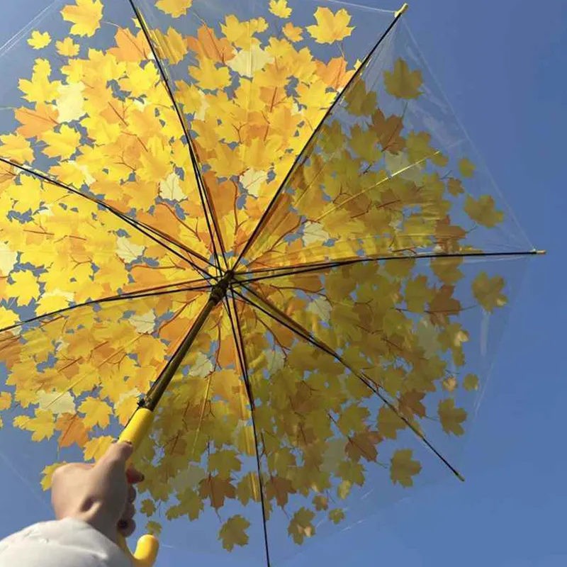 Pleasant language Umbrellas-6