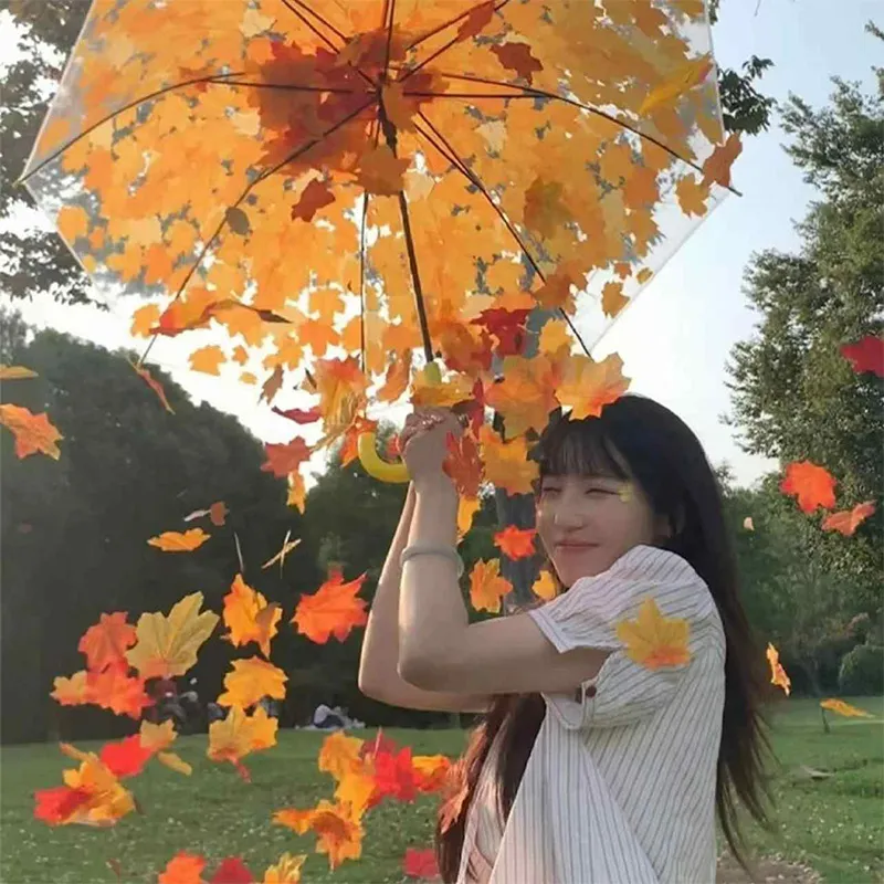 Pleasant language Umbrellas-3