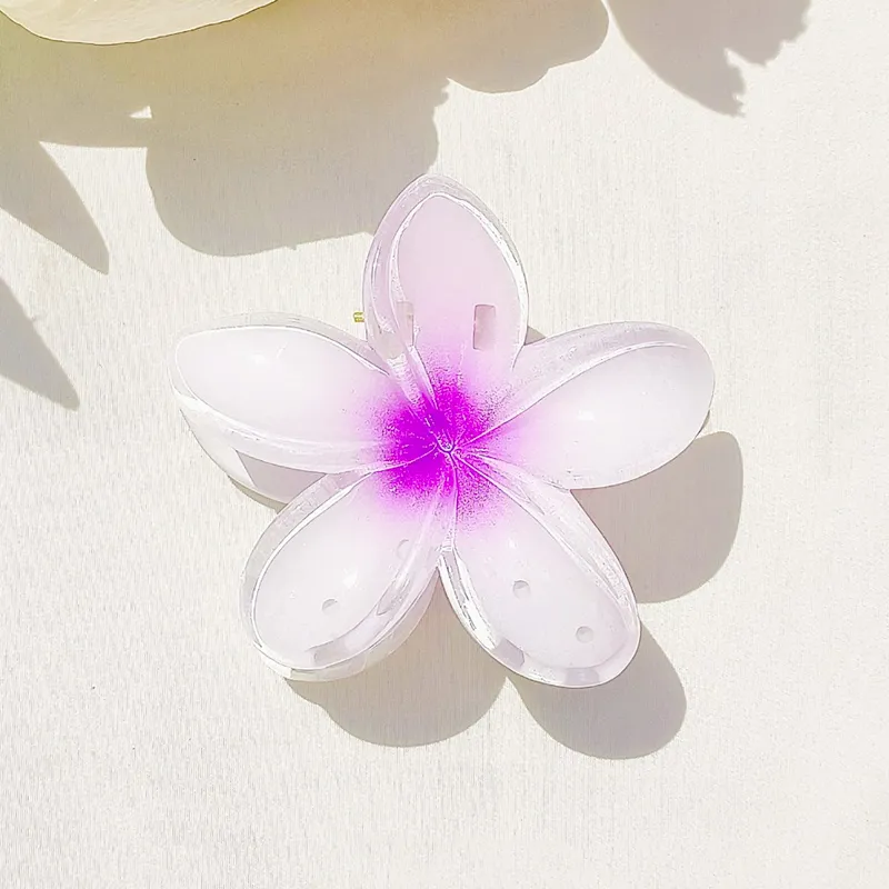 Like A Dream Acrylic Hair Clips Women's-10