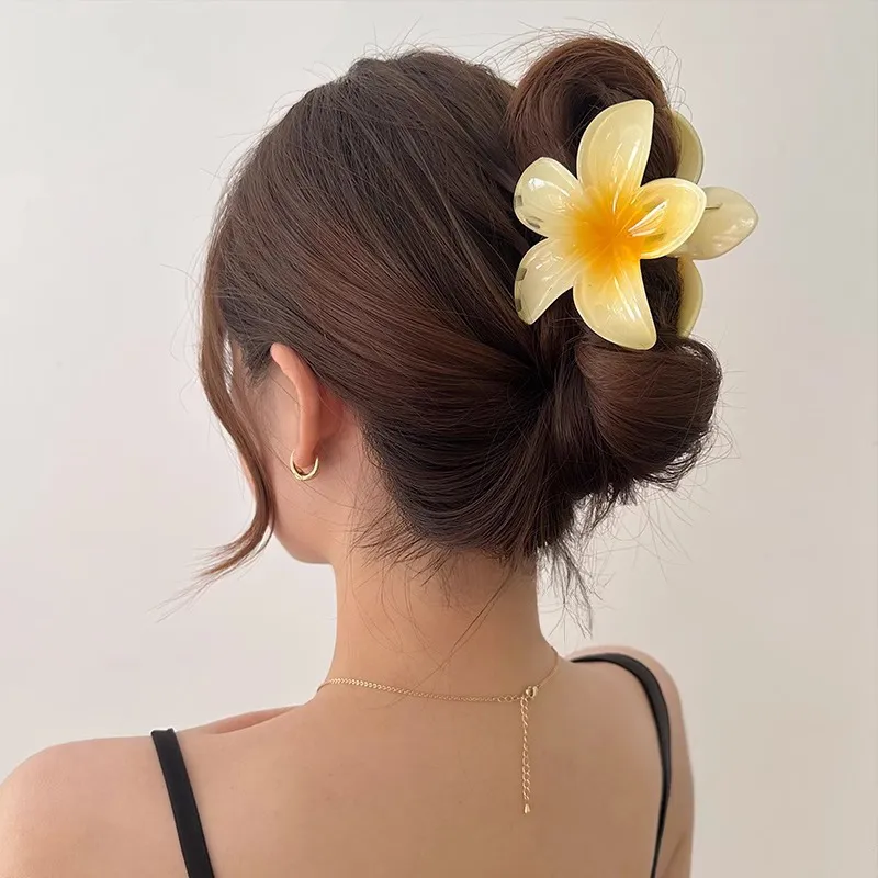 Like A Dream Acrylic Hair Clips Women's-5