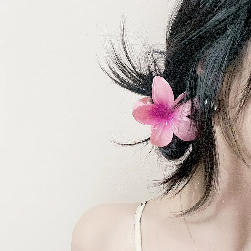 Like A Dream Acrylic Hair Clips Women's-8