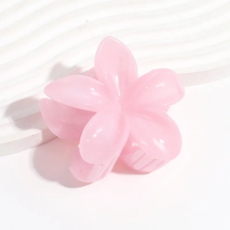 Like A Dream Acrylic Hair Clips Women's-1