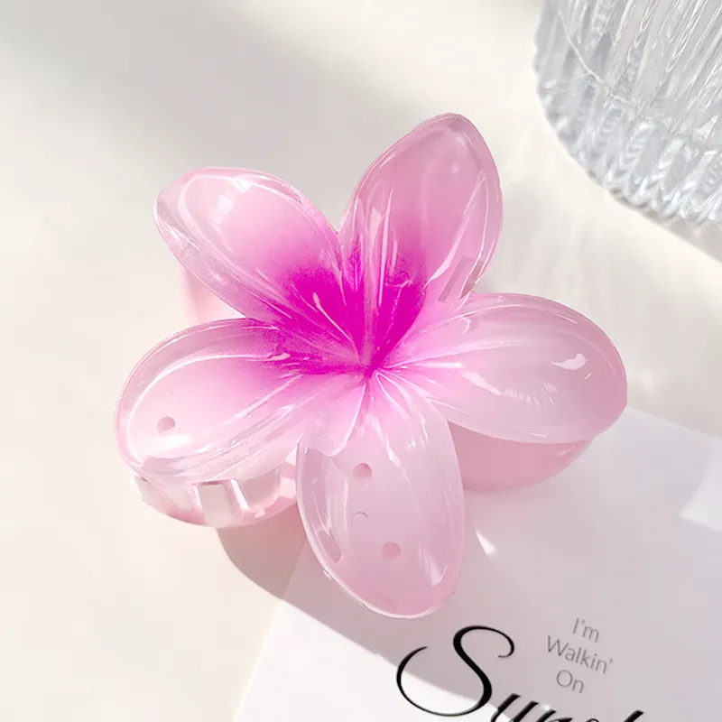 Like A Dream Acrylic Hair Clips Women's-7