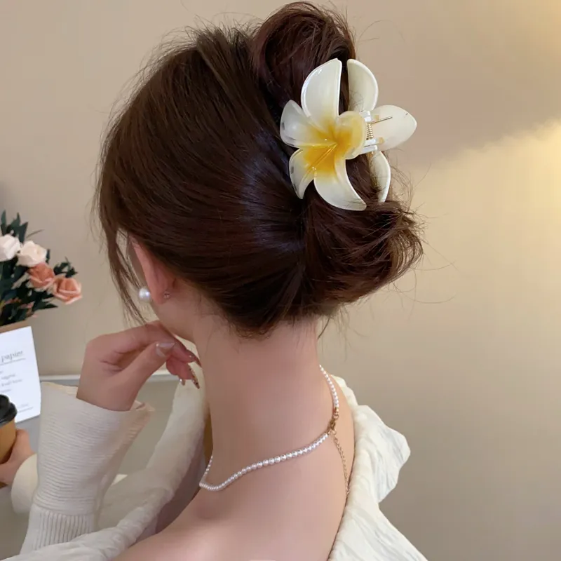 Like A Dream Acrylic Hair Clips Women's-2