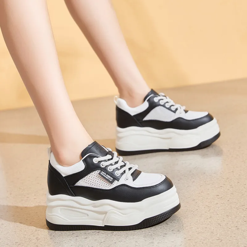SANTA BARBARA POLO & RACQUET CLUB Skateboard Shoes Cushioning Wear-Resistant Low-Top Casual Shoes Women's-8