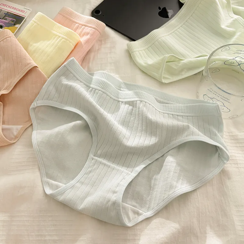 YUZHAOLIN Underpants Women's 6 Pack-2