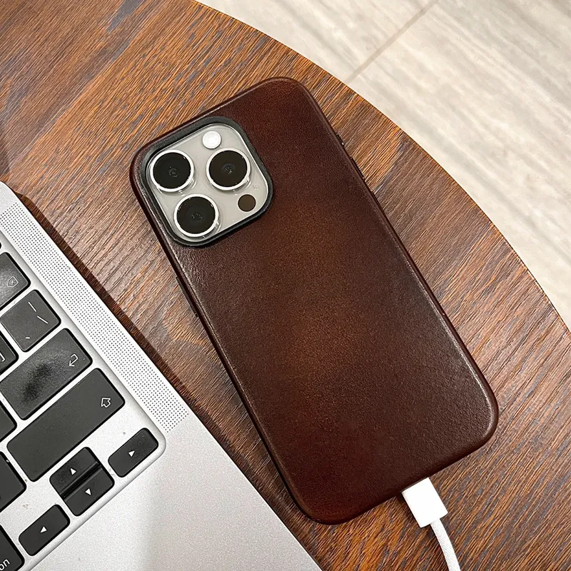 REXINTS Phone Cases-4
