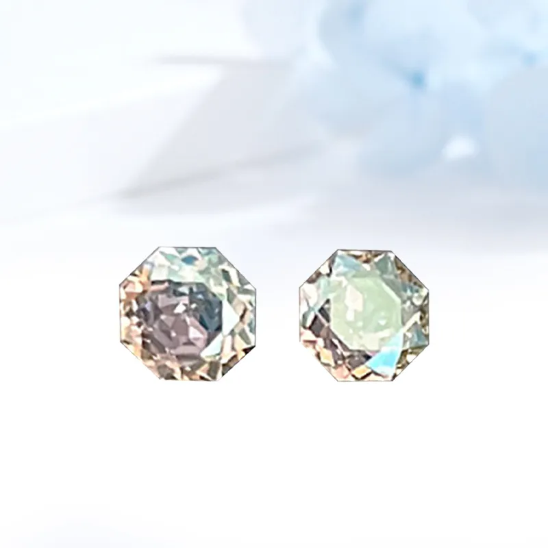 HOLLY RYAN Zircon Stud Earrings Unisex-1
