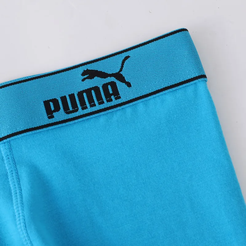 PUMA Underpants Men's 2 Pack Milk Blue/Sky Blue-5