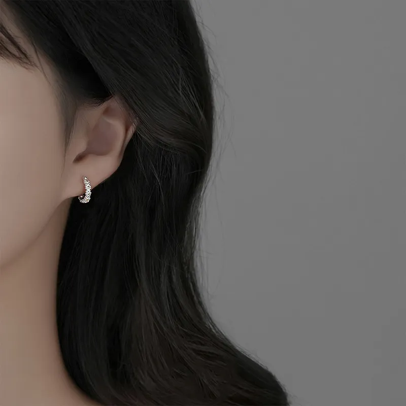 ETAHLOVE S925 Silver Earrings Women's-1