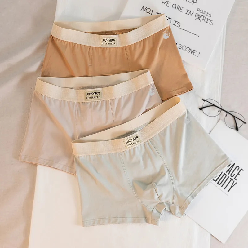 LUYOUYE Underpants Men's 3 Pack-11