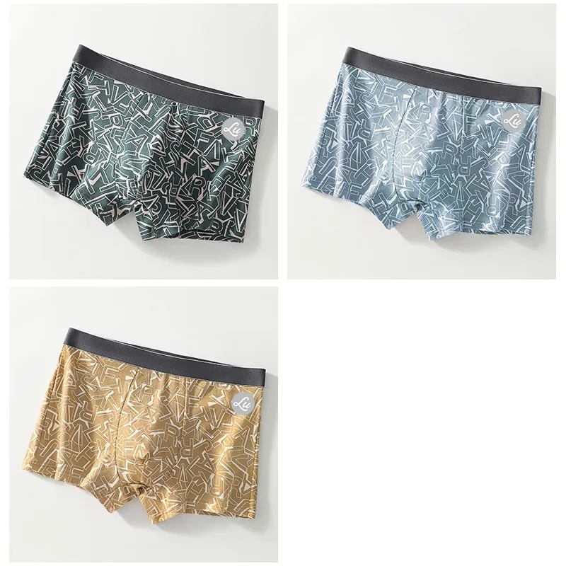 LUYOUYE Underpants Men's 3 Pack-10
