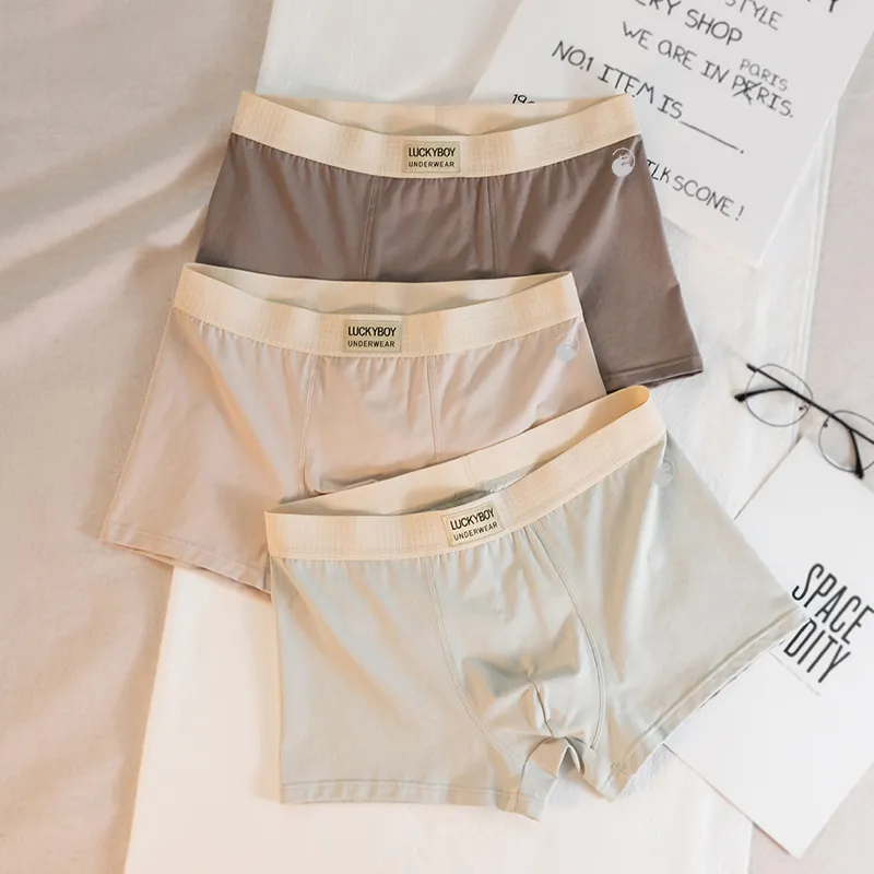 LUYOUYE Underpants Men's 3 Pack-12