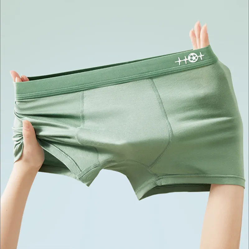 LUYOUYE Underpants Men's 4 Pack-1