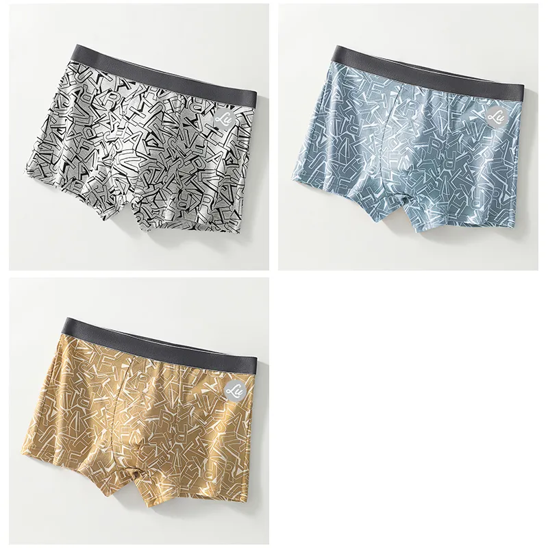 LUYOUYE Underpants Men's 3 Pack-3