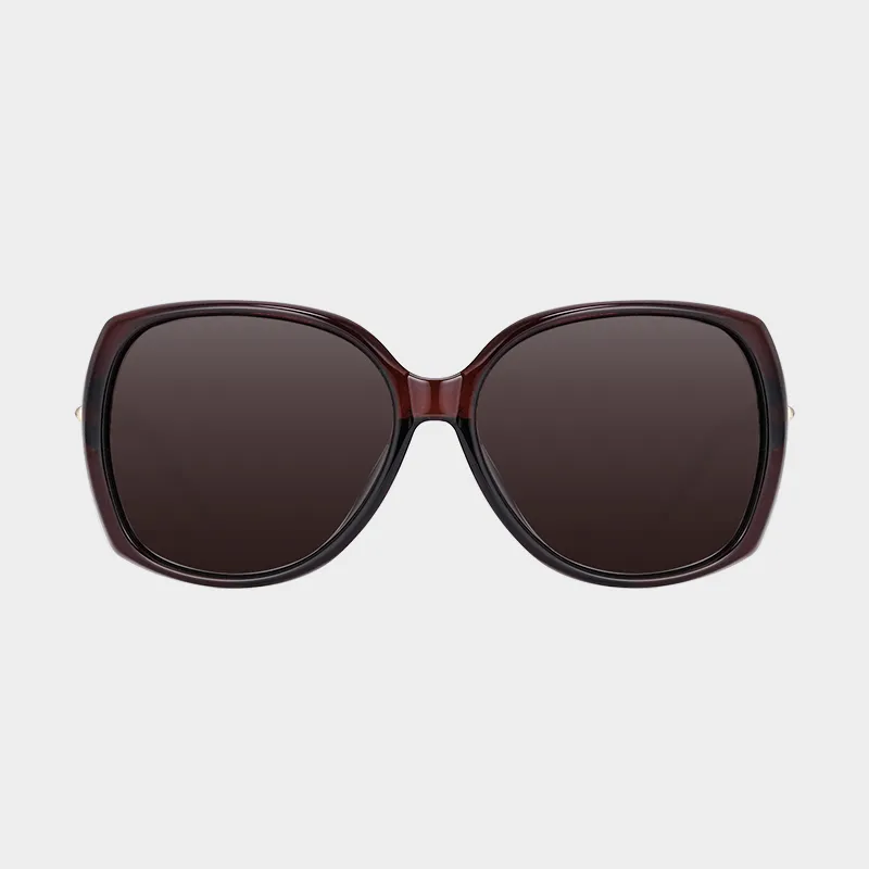 EQUIPMENTELEGANT PC Metal Irregular Shape Sunglasses Unisex Black Transparent Tea-7