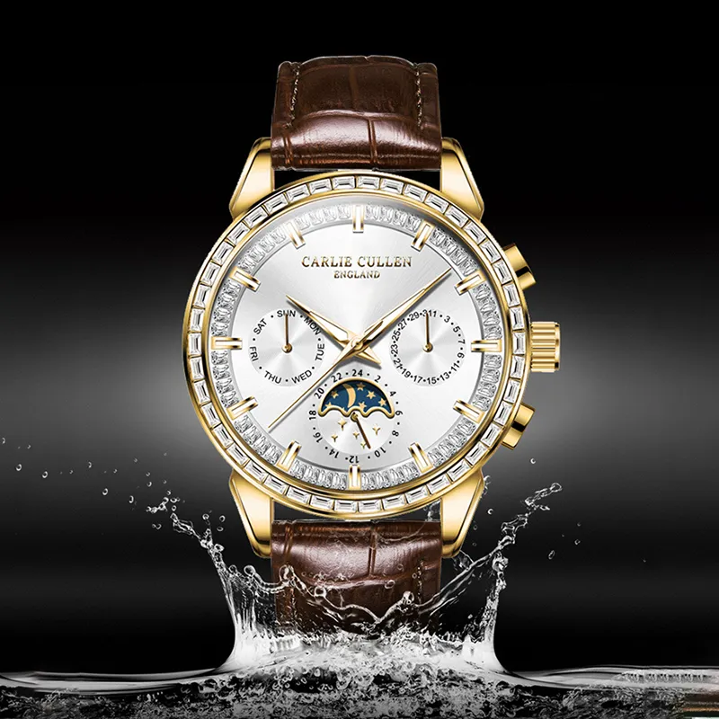 CARLIECULLEN Automatic Mechanical Movement Genuine Leather Strap Watch Men's Watches White Dial-12