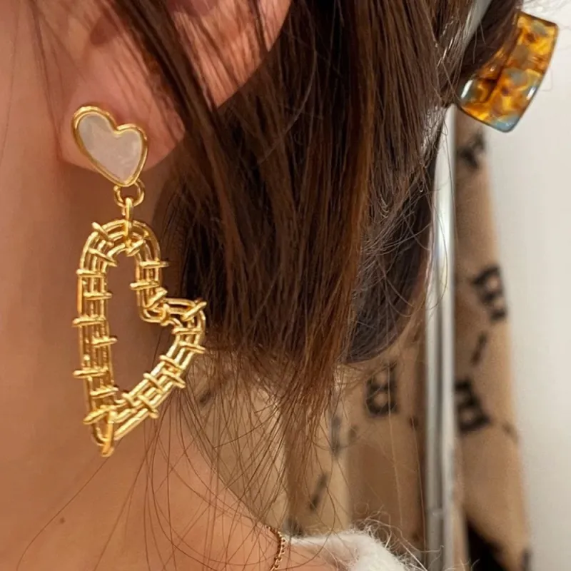 Sanpowa Stainless Steel Earrings Women's-1