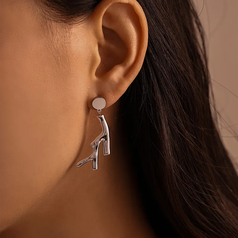 Sanpowa Stainless Steel Earrings Women's-3