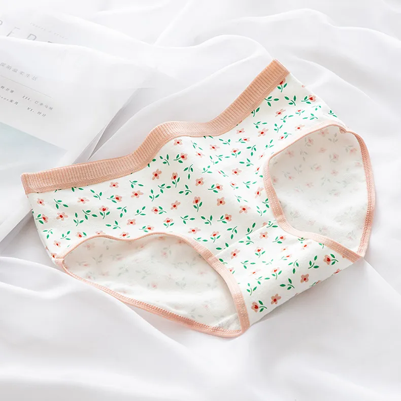 Herbal Primer Underpants Women's 3 Pack-11