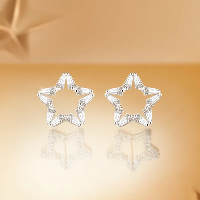 ZSY Silver 925 Stud Earrings Women's Box, Included For Girlfriend-2