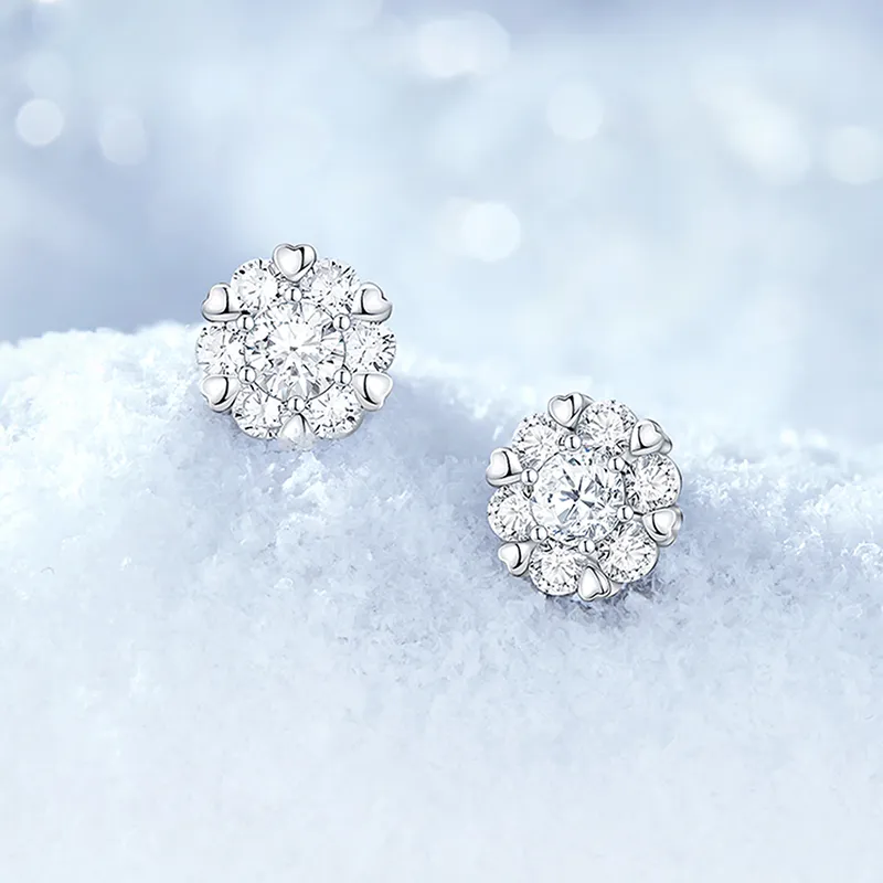 ZSY S925 Stud Earrings Women's Box-2