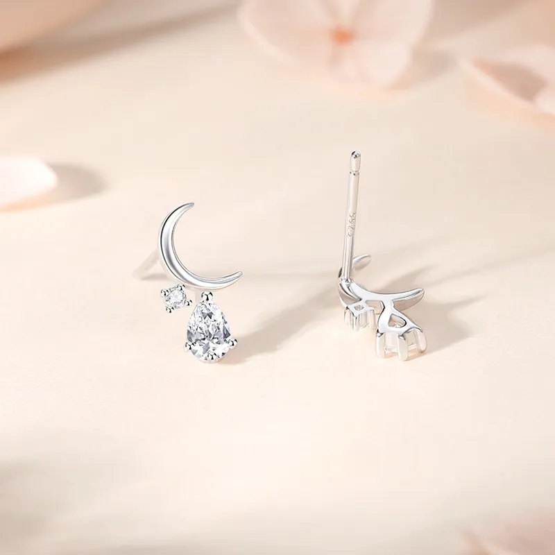 ZSY Silver 925 Earrings Women's Box-1