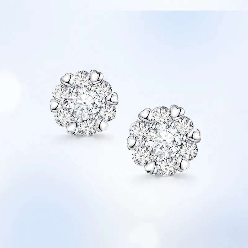 ZSY S925 Stud Earrings Women's Box-1