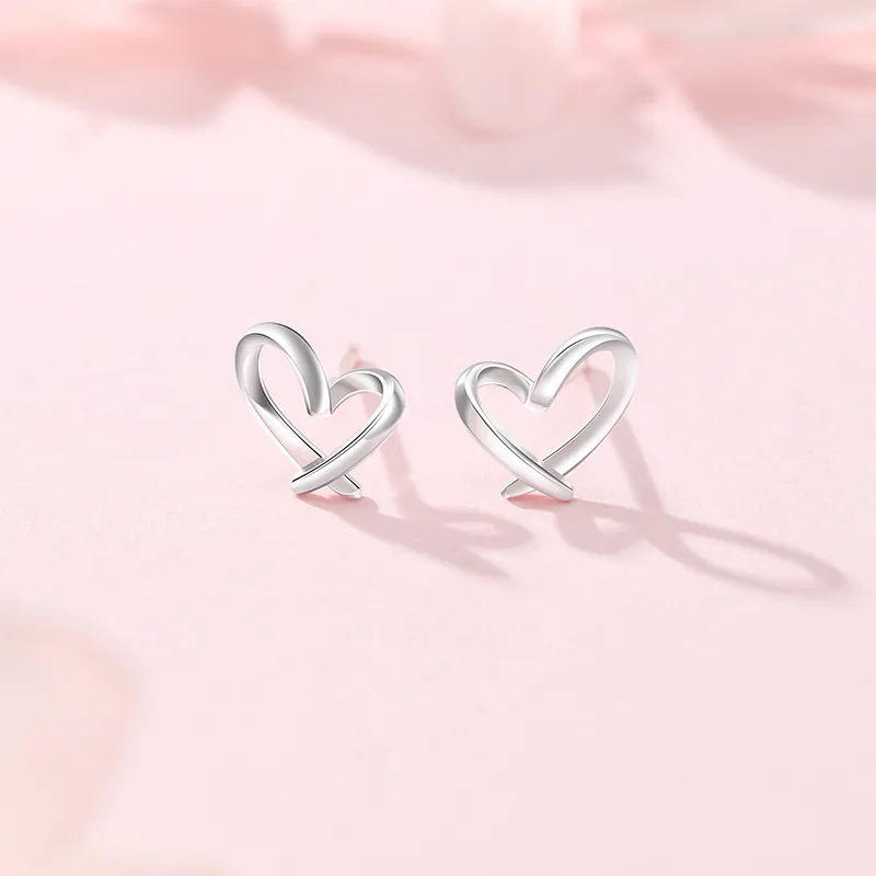 ZSY S925 Stud Earrings Women's Gift Box Set-1