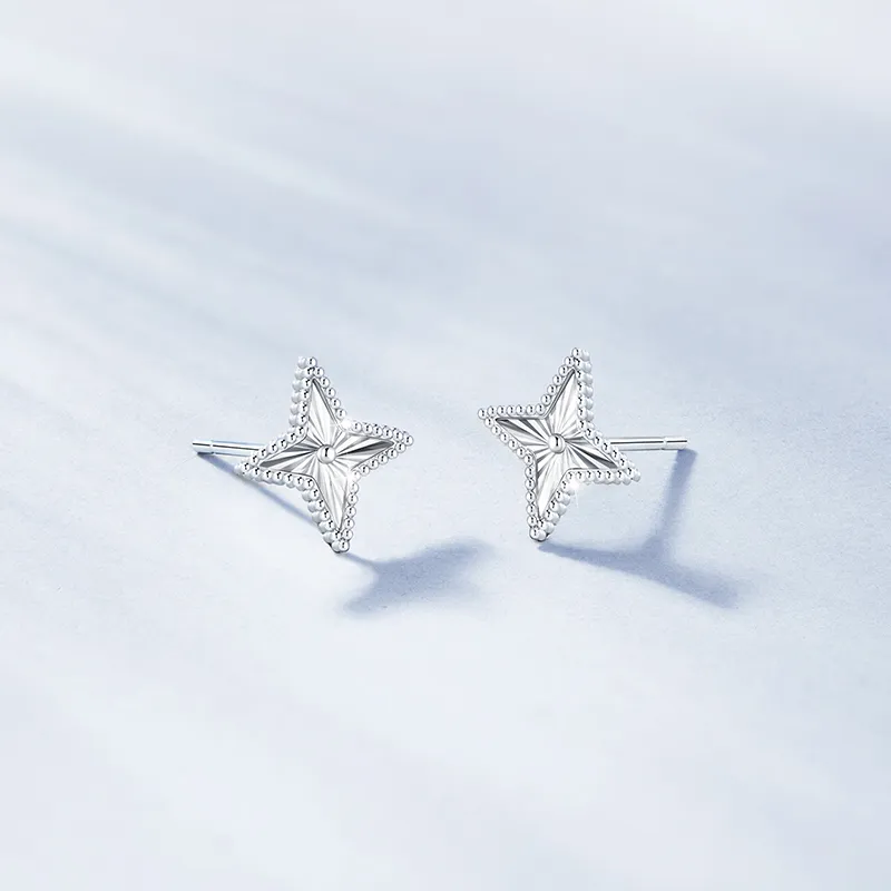 ZSY S925 Silver Stud Earrings Women's-2