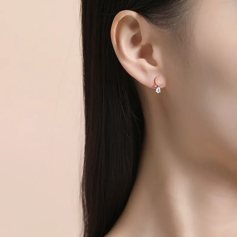 ZSY Silver 925 Earrings Women's Box-2
