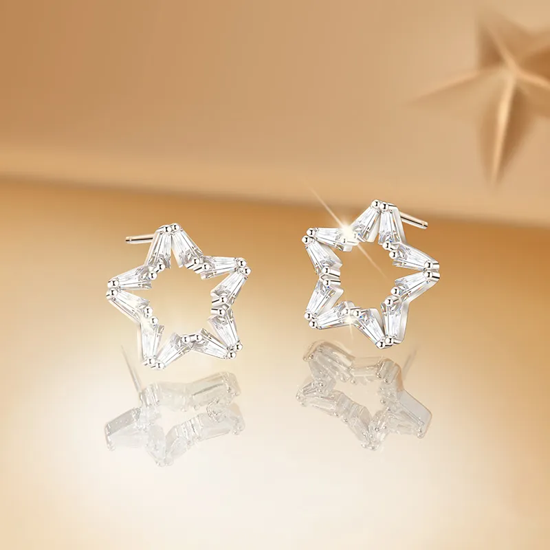 ZSY Silver 925 Stud Earrings Women's Box, Included For Girlfriend-1