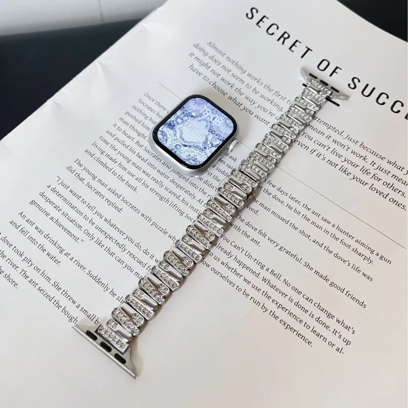MSSM Apple Compatibility Watch Band 180mm 46mm Metal-1