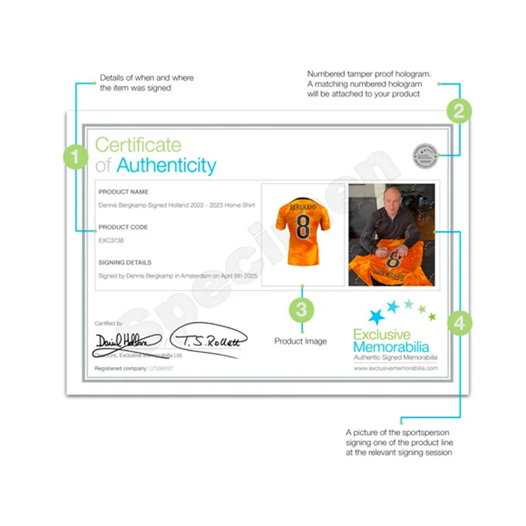 Three For Dutch National Team Signature Jersey Exquisite Mounting, Outer Frame Approx. 65x85cm-4