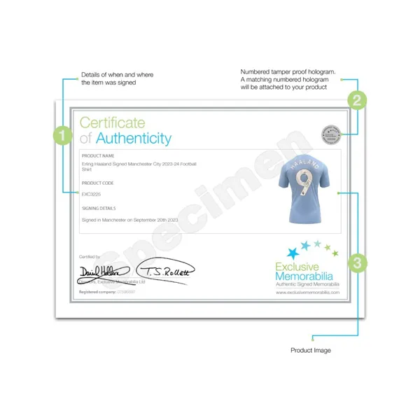 Three For Haaland Signed 2023-24 Manchester City #9 Jersey With EM Certificate Framed-6