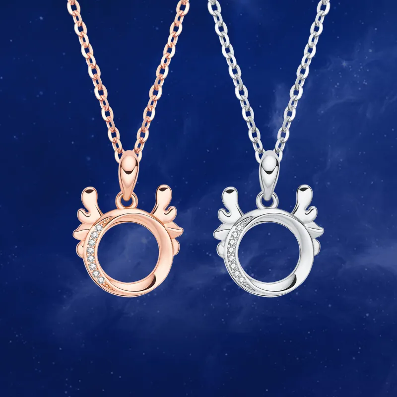 Strange S925 Silver Necklaces Unisex-7