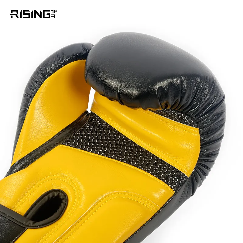 Ruisi Boxing Gloves-4