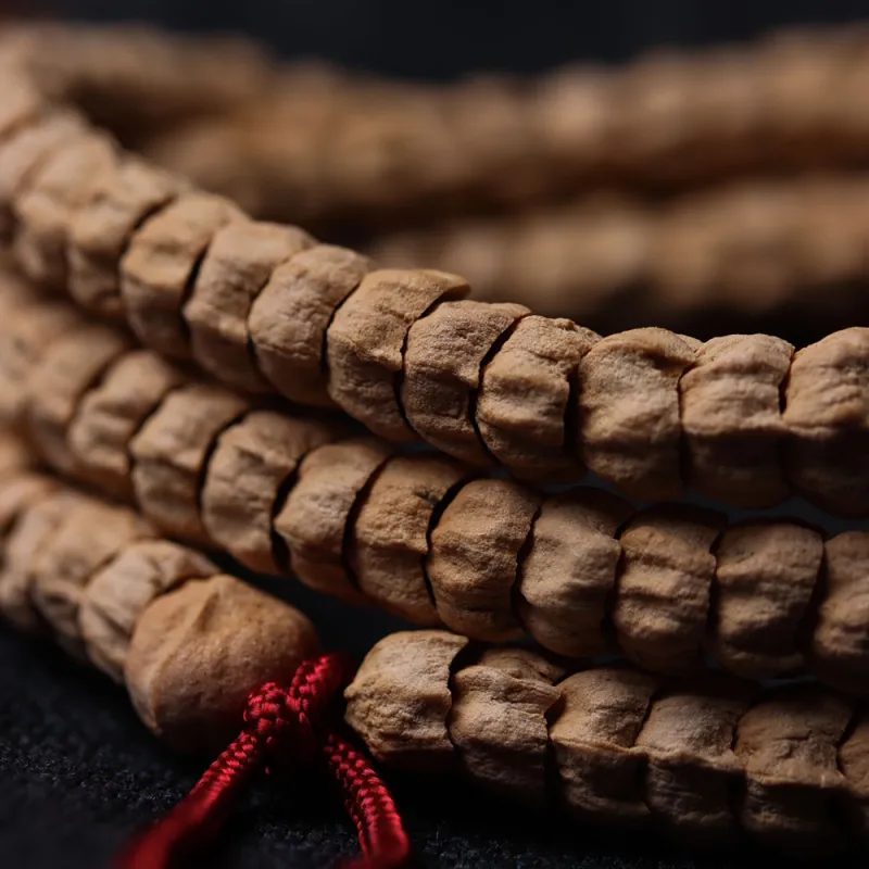 Finger Carpenter Cacumen Platycladi Seeds Bead Chain Unisex-3