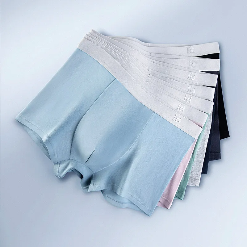 Edi Men Underpants-1