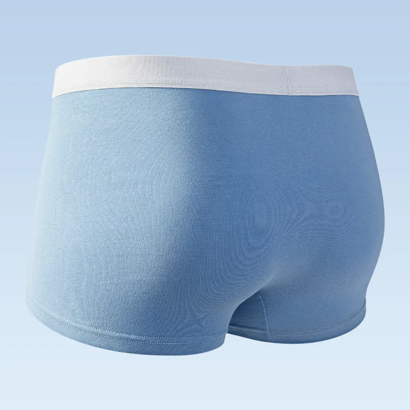 Edi Men Underpants-8