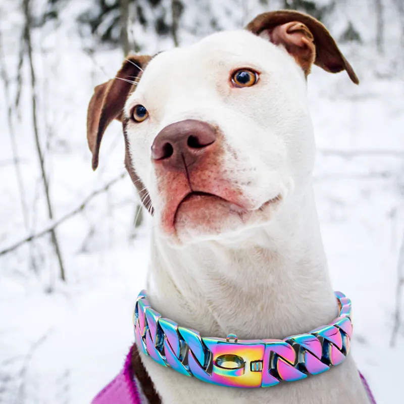 KecoSweet Dog / Cat Collars-7