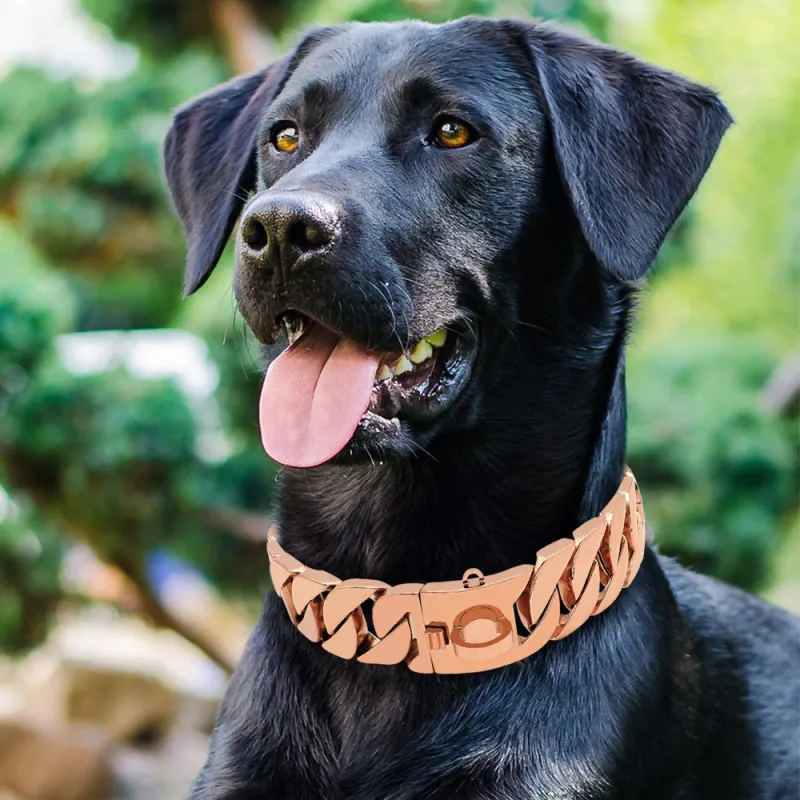 KecoSweet Dog / Cat Collars-9