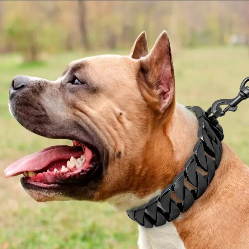 KecoSweet Dog / Cat Collars-5