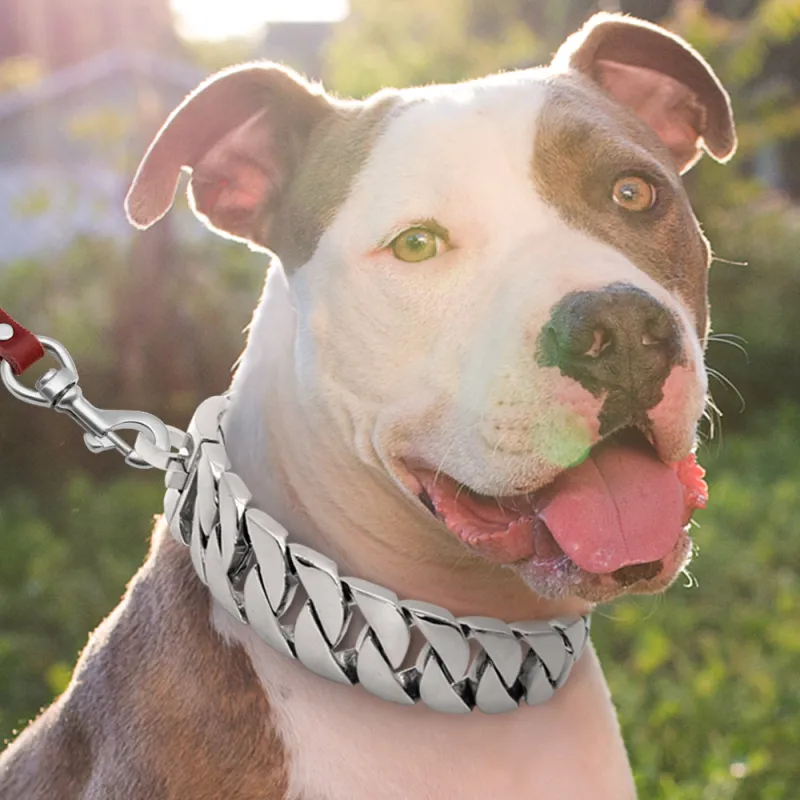 KecoSweet Dog / Cat Collars-3