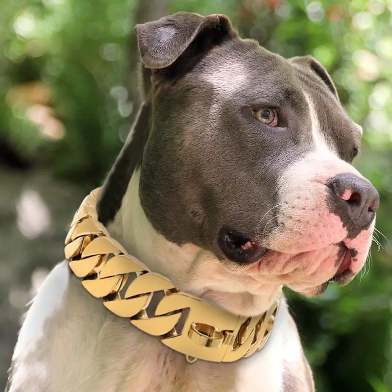 KecoSweet Dog / Cat Collars-1